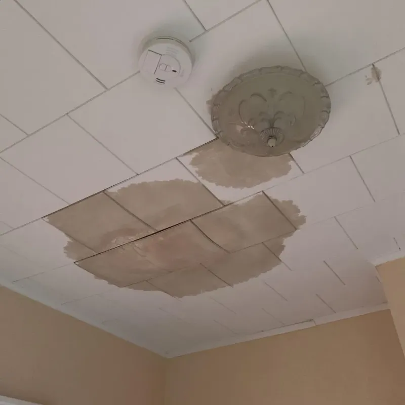 Ceiling Water Damage Repair in Ingram, PA