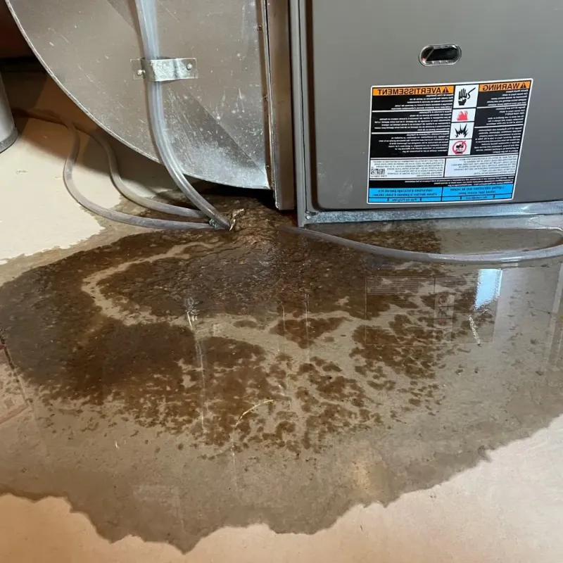 Pipe Burst and Leak Restoration in Ingram, PA